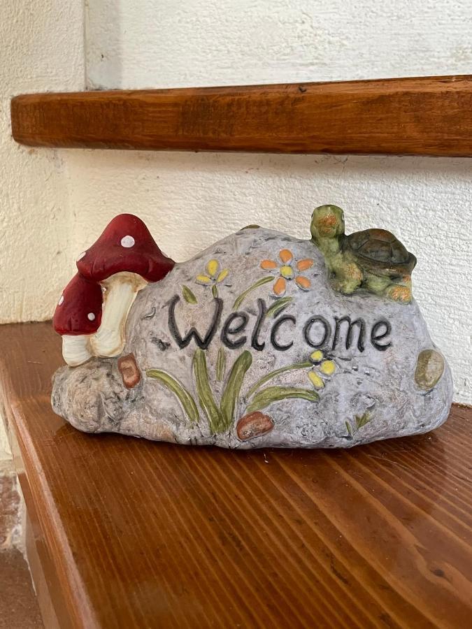 Camellia Guesthouse Anilio Pelion Exteriör bild