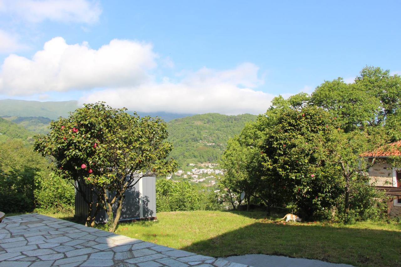 Camellia Guesthouse Anilio Pelion Exteriör bild
