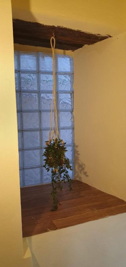 Camellia Guesthouse Anilio Pelion Exteriör bild