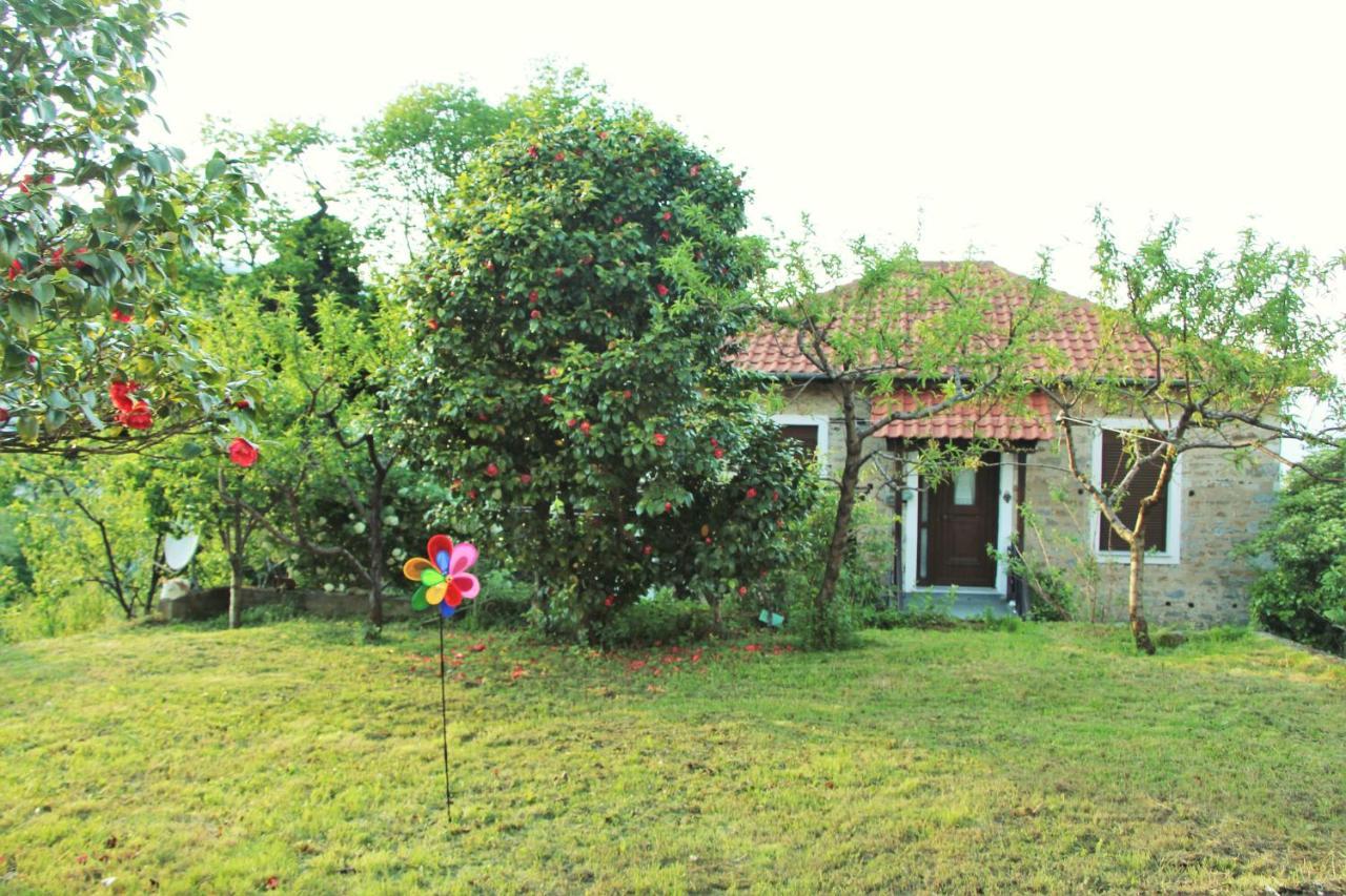 Camellia Guesthouse Anilio Pelion Exteriör bild
